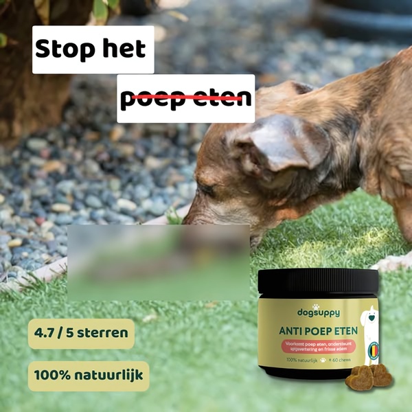 This static square ad for dog chews directly addresses a common pet owner pain point with bold text and visual social proof to drive clicks.